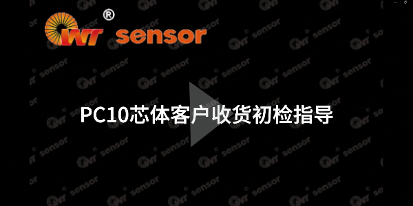 你知道如何進(jìn)行PC10芯體的初檢嗎？